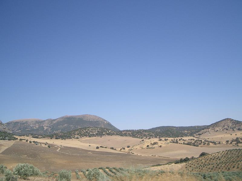 Zuid Spanje 2008 182.jpg